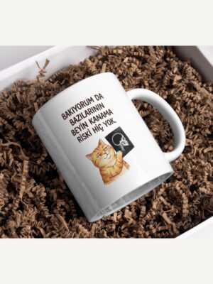 "Bazılarının Beyin Kanama Riski Hiç Yok" Kedi Tasarım Kupa